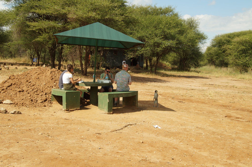 Tarangire